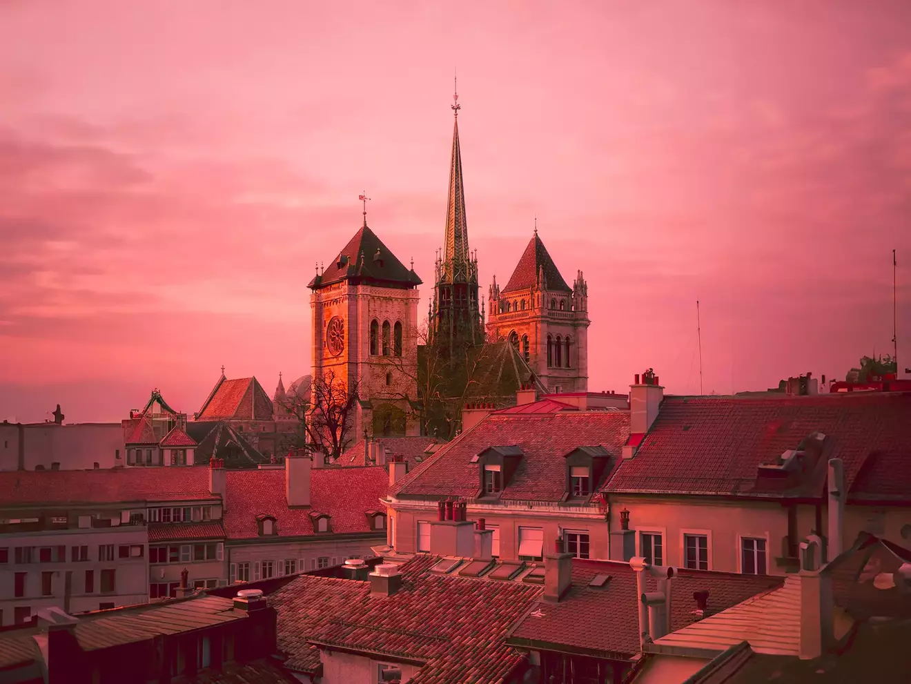 St. Peter's Cathedral